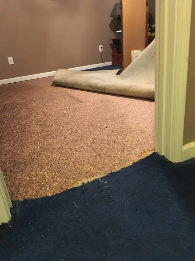 Carpet pad removal revealing water damage during Water Mitigation Services in Vandalia