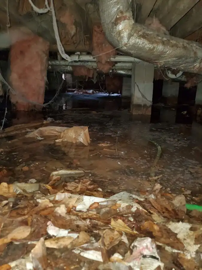 Crawl space flood assessment for Leak Detection & Repair in Vandalia